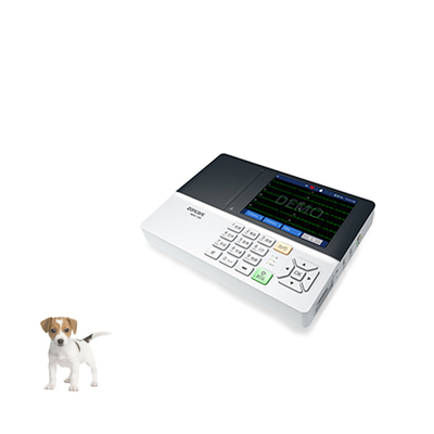 General Check For Felidae iMAC300 5.6 Inch LED HD 3 Channel Veterinary ECG Veterinary Machines