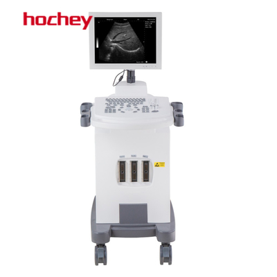 Hospital Hochey 15&quot; High Quality Clinic Medical Veterinary Mobile LED Trolley Ultrasound Machine For Pregnancy B/W Ultrasound Scanner Machine
